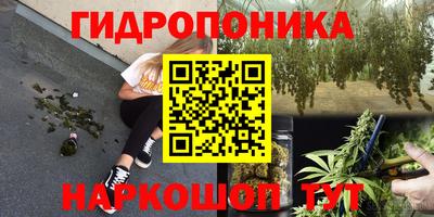 стаф Волжский