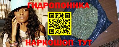 стаф Волжский